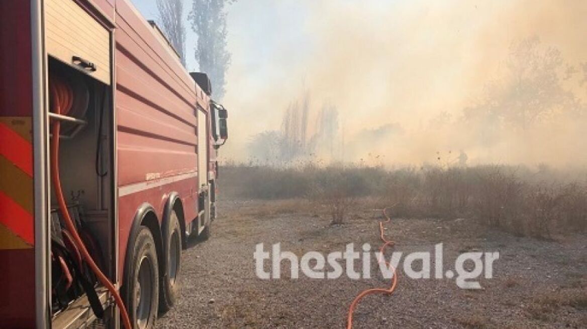Θεσσαλονίκη: Προσήχθη ένας άνδρας για την φωτιά στους Ελαιώνες Πυλαίας