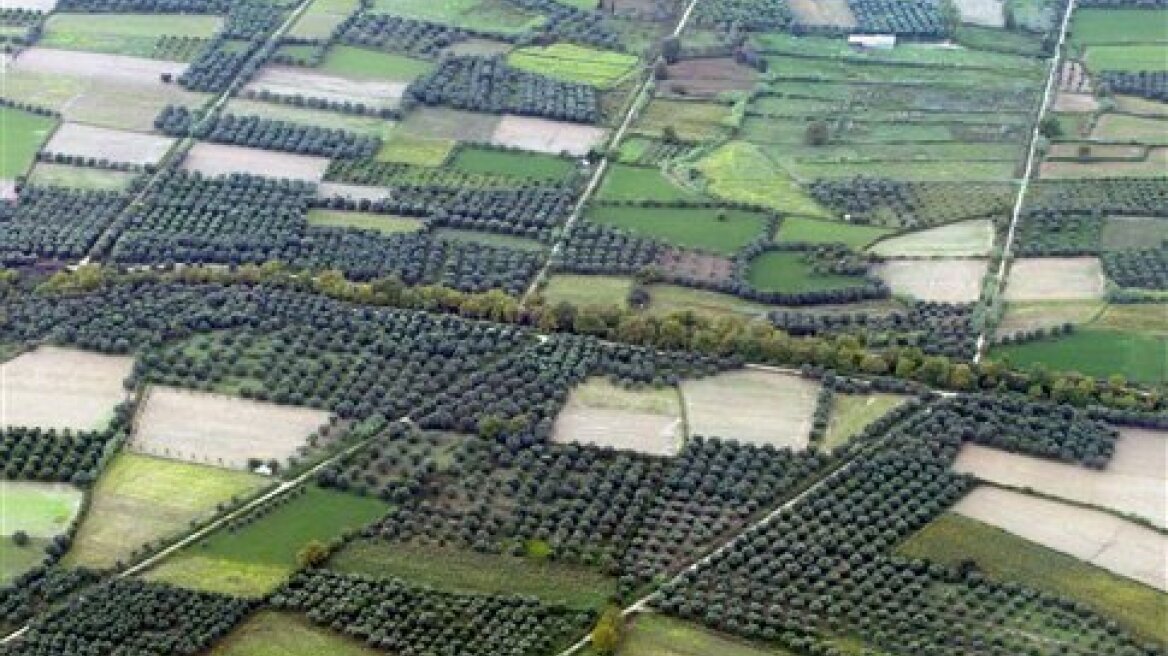 Κεφάλαια ξένων επενδυτών για την αγροτική γη