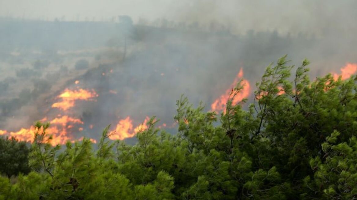 Υπό μερικό έλεγχο οι πυρκαγιές σε Εύβοια και Αργολίδα