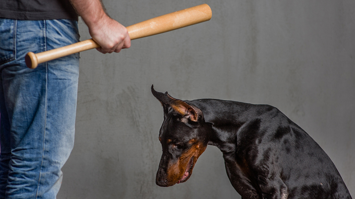 Θύματα ενδοοικογενειακής βίας και τα κατοικίδια ζώα