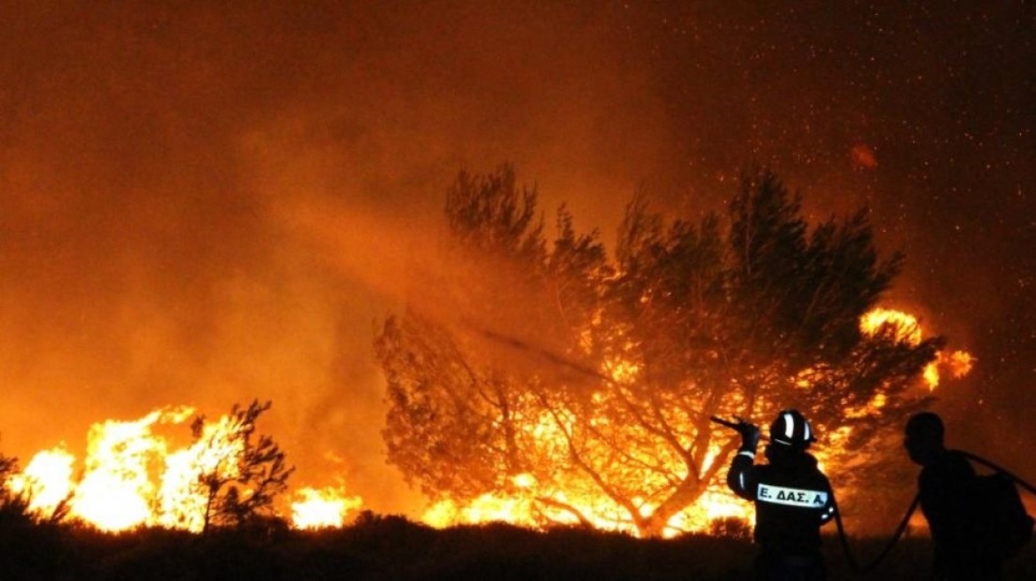 Πυρκαγιά σε δασική έκταση στο Αγιονόρι Κορινθίας