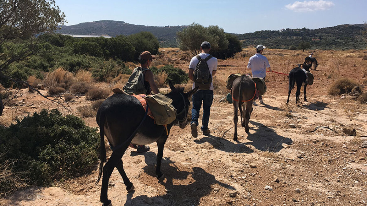 Παγκόσμια Ημέρα των Ζώων: Και όμως η σημερινή μέρα δεν είναι γιορτή