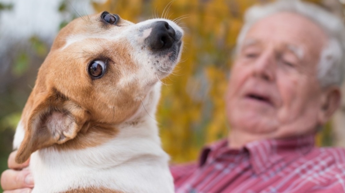 Σκύλοι-θεραπευτές προσφέρουν φροντίδα και αγάπη σε ηλικιωμένους