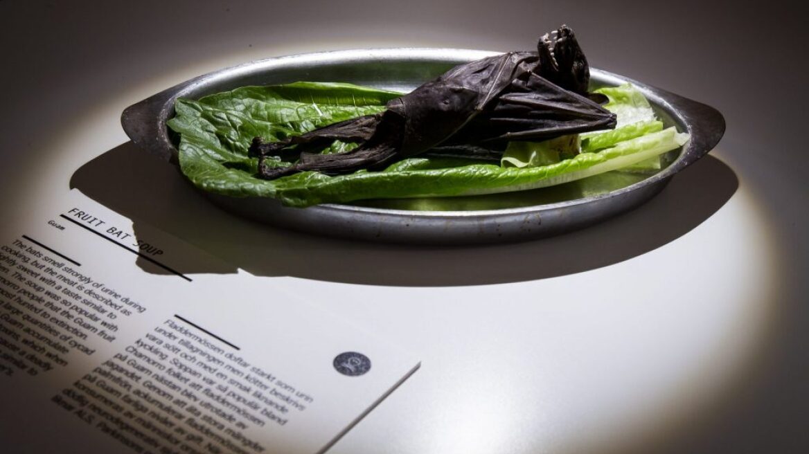 Τα 11 πιο αηδιαστικά φαγητά του κόσμου