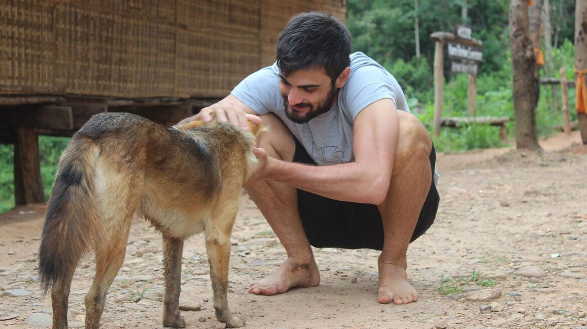 Πιστεύετε ότι ο σκύλος θα γίνει κακομαθημένος αν του κάνετε τα χατίρια;