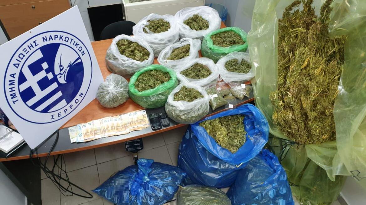 Σέρρες: Ο σκύλος ανιχνευτής βρήκε 17 κιλά χασίς σε δυο σπίτια 