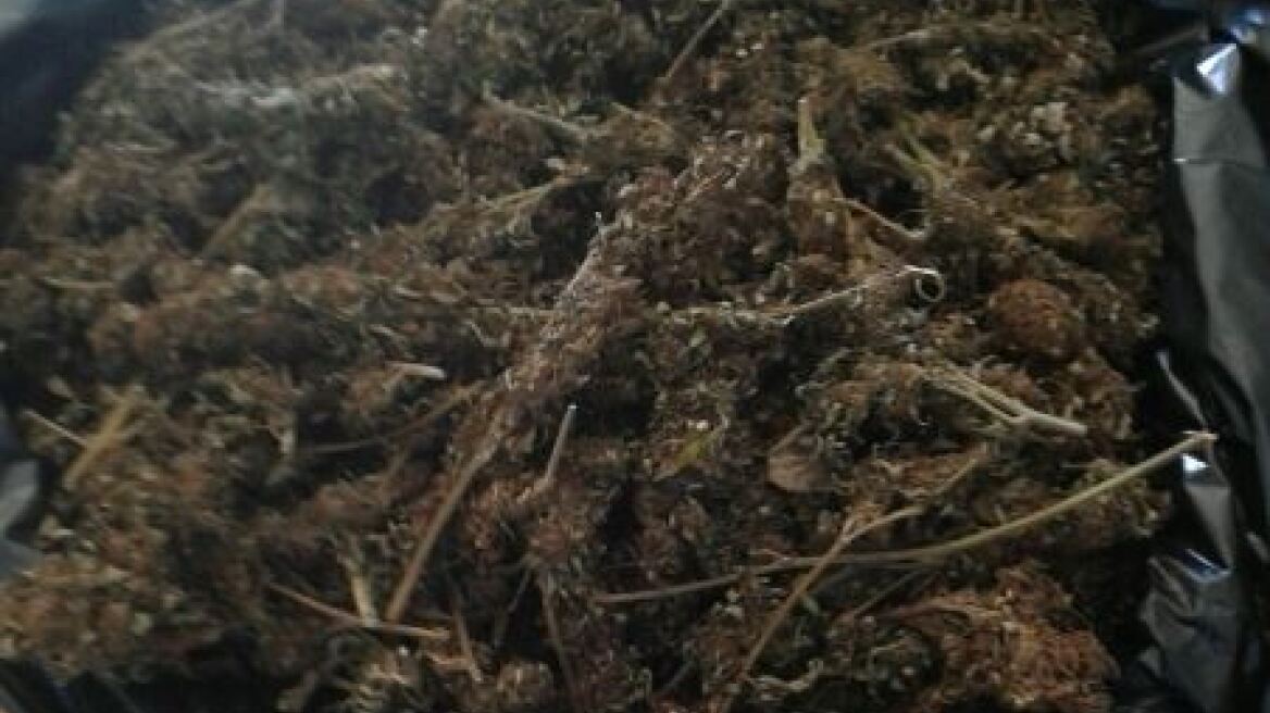 Βρήκαν πάνω από δυόμισι κιλά χασίς και ψάχνουν τη φυτεία