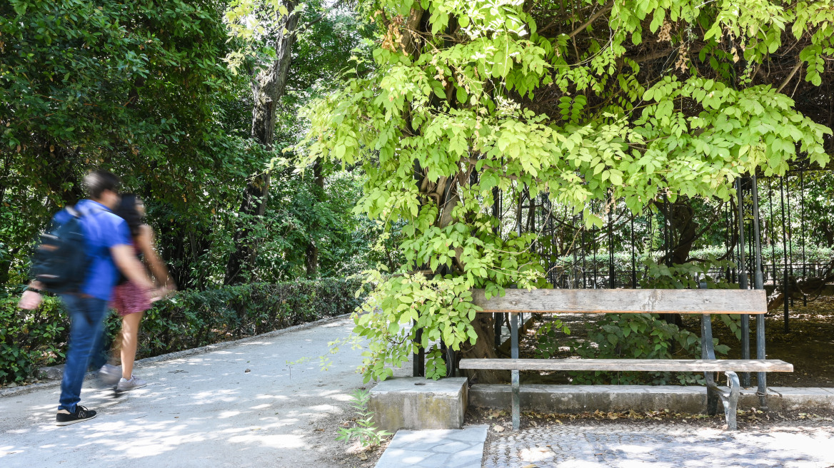 Καιρός: «Καλοκαίρι» με θερμοκρασίες έως και 8 βαθμούς υψηλότερες από το συνηθισμένο