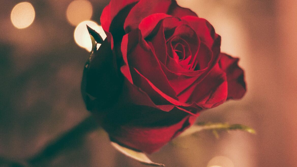 Πέθανε γνωστή ηθοποιός μόλις στα 55 της χρόνια