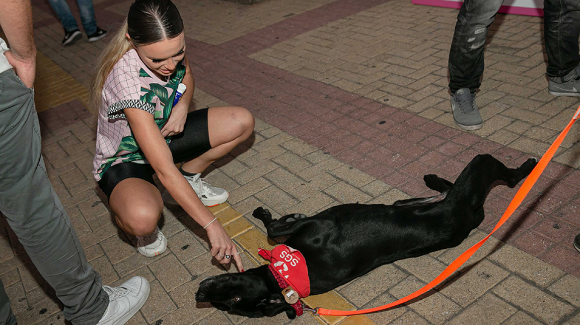 Με μεγάλη επιτυχία το 2o SGS Family & Pets Festival!