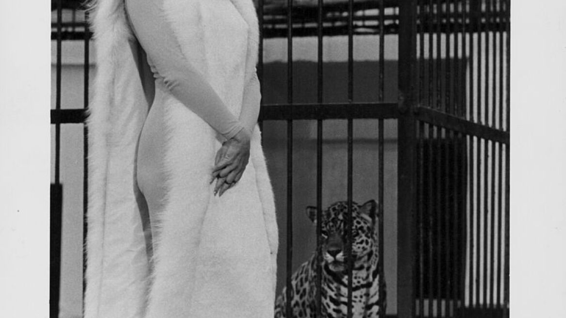 Όταν η Βrigitte Bardot τραγούδησε Γιάννη Σπανό 