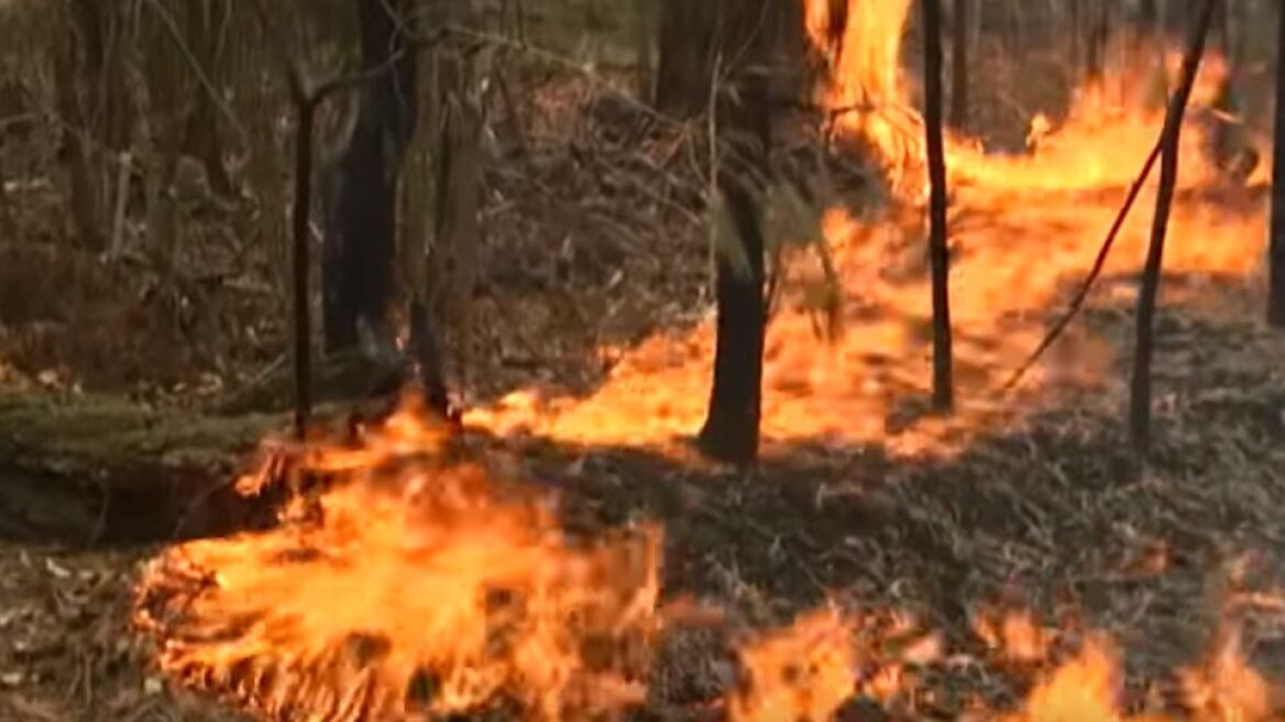 Μαγνησία: Έκαιγε κάθε μέρα το οικόπεδο του γείτονά του!