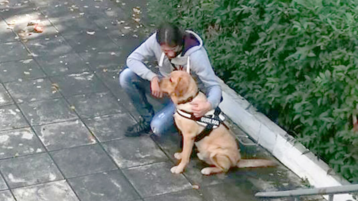 Najak: Ο σκύλος-οδηγός που συντροφεύει 28χρονο με οπτική αναπηρία