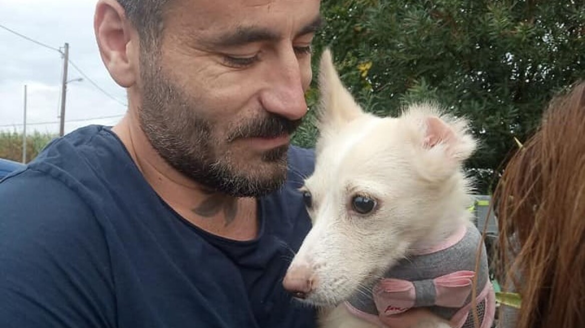 Γιώργος Μαυρίδης: «Αχώριστος» με το κακοποιημένο σκυλάκι από τη Ξάνθη που έχει υιοθετήσει