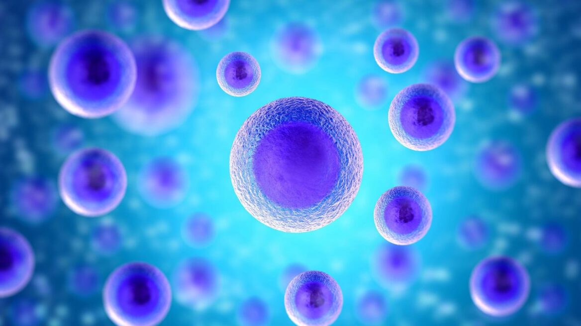 Νέα φάρμακα αναχαιτίζουν τους ανθεκτικούς καρκίνους