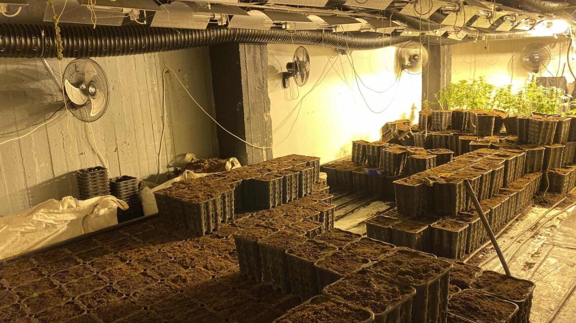 Αιγάλεω: Η ντουλάπα του υπνοδωματίου έκρυβε... εργαστήριο καλλιέργειας κάνναβης!