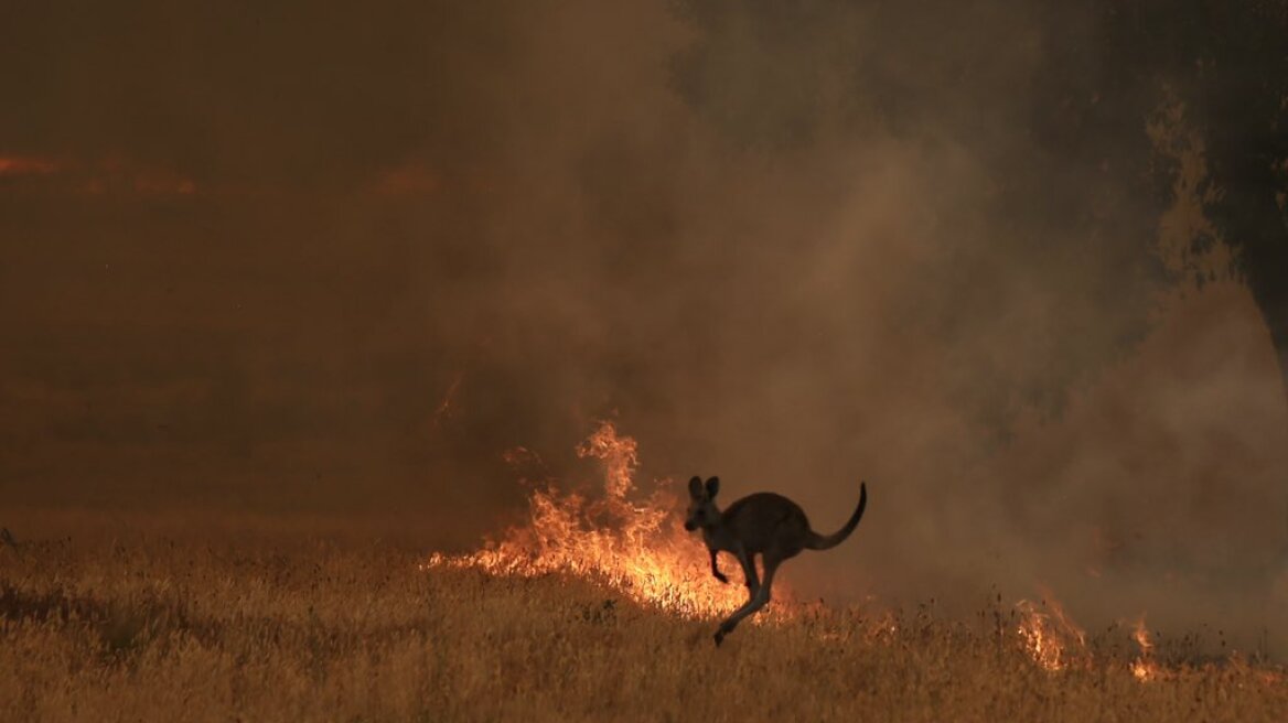 Αυστραλία: Έρχονται «ελπιδοφόρες» βροχές - Οι πυρκαγιές ενδέχεται να καταστούν συνηθισμένο φαινόμενο