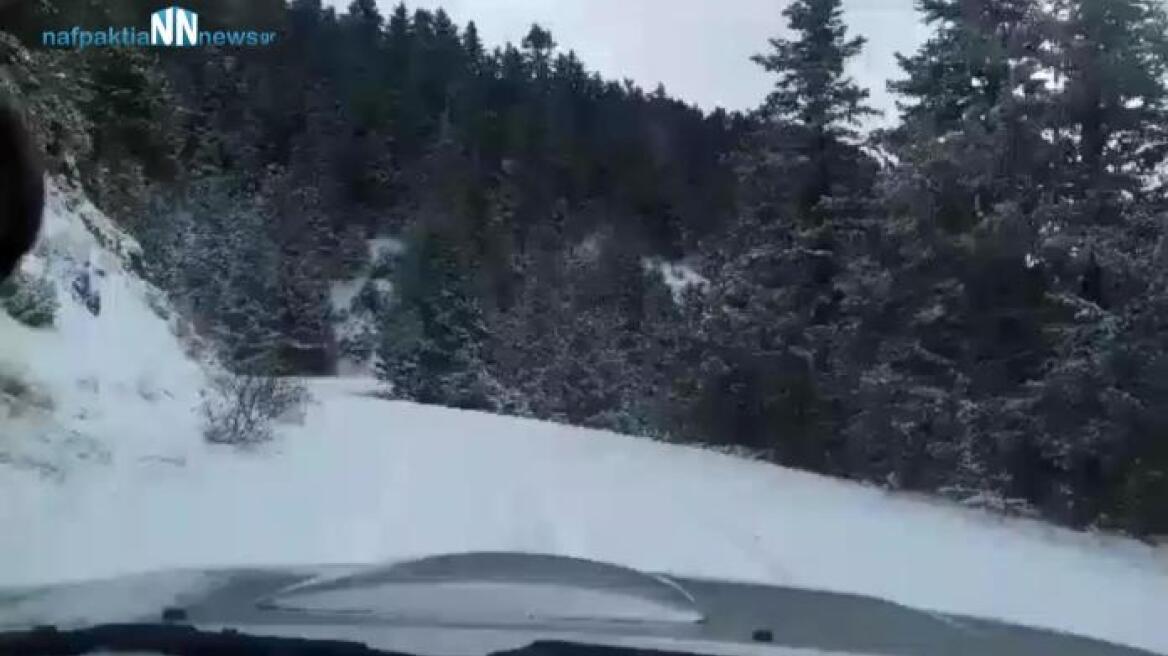 Φωκίδα: Η κακοκαιρία «Ζηνοβία» αφήνει πίσω της αποκλεισμένα χωριά 