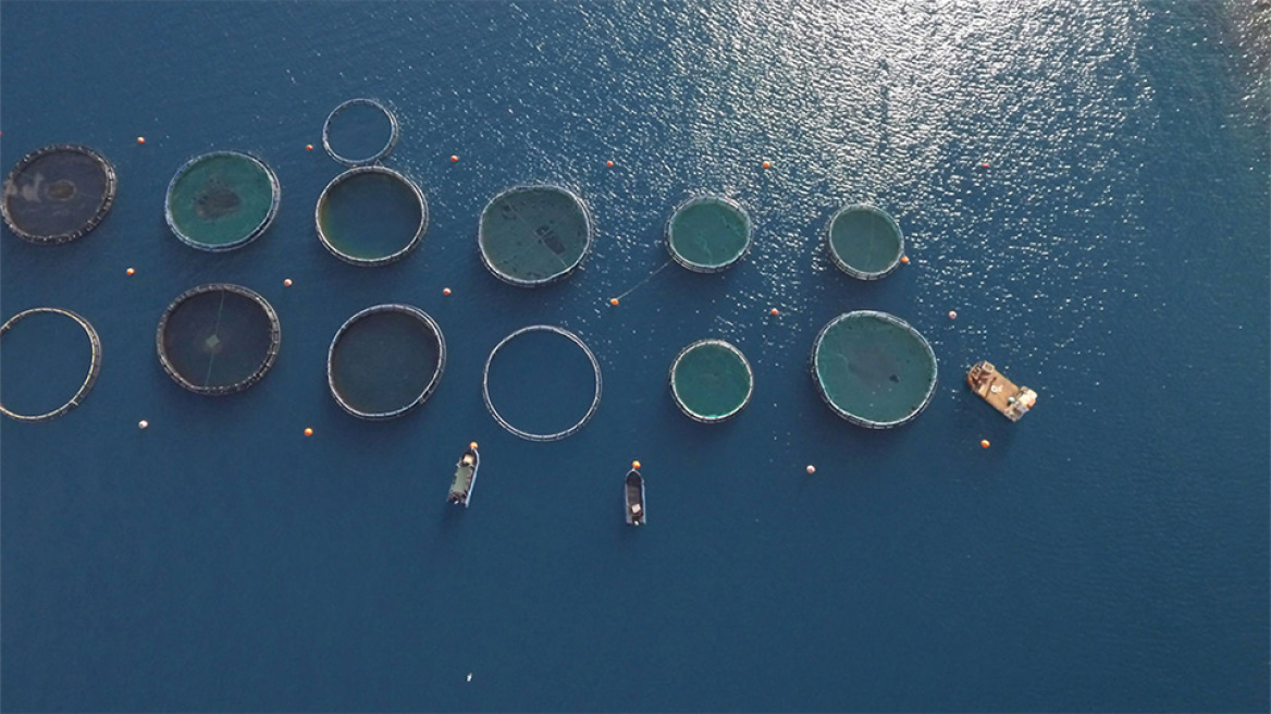 ΑΒ Βασιλόπουλος για την προστασία των Ελληνικών θαλασσών 