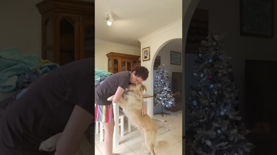 Το πιο γλυκό βίντεο: Σκύλος βοηθάει κοπέλα με αυτισμό να ξεπεράσει κρίση πανικού