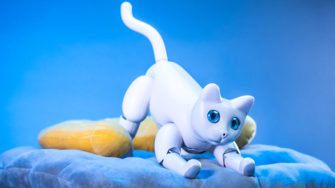 Αυτή είναι η πρώτη γάτα – ρομπότ που συμπεριφέρεται σαν πραγματική γάτα