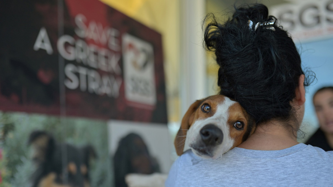 «Με αστείρευτη αγάπη για τα αδέσποτα»