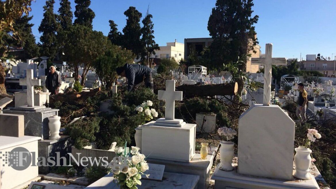 Χανιά: Κατέρρευσε μεγάλο δέντρο σε νεκροταφείο - Δείτε φωτογραφίες