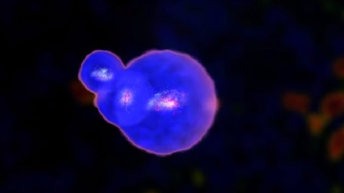 Αδιανόητη ανακάλυψη: Η NASA εντόπισε τους πιο μακρινούς γαλαξίες και είναι μέσα σε φυσαλίδες! (vid)