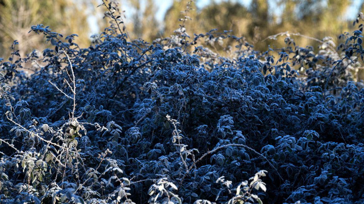 Καιρός: Ψύχρα και τοπικές βροχές - Πού θα βρέξει το απόγευμα - Δείτε χάρτες 
