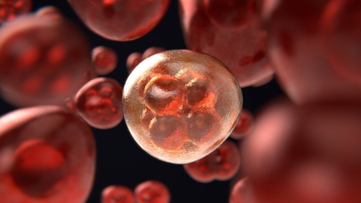 Φάρμακα για τη χοληστερίνη, τον διαβήτη και τους... σκύλους μπορούν να καταστρέψουν τον καρκίνο