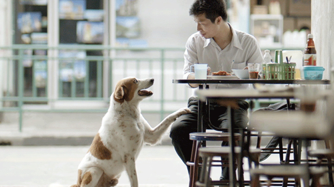 Μια διαφήμιση ασφαλιστικής εταιρείας διαφορετική από τις άλλες