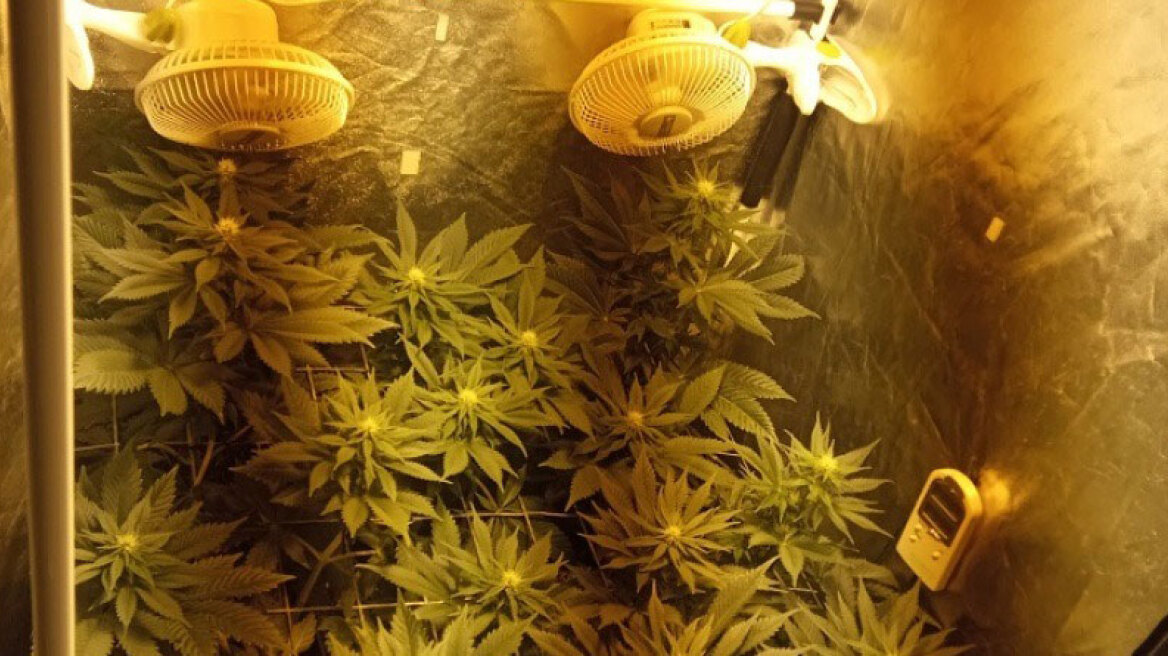 Κρήτη: Εργαστήριο υδροπονικής κάνναβης σε σπίτι στη Χερσόνησο