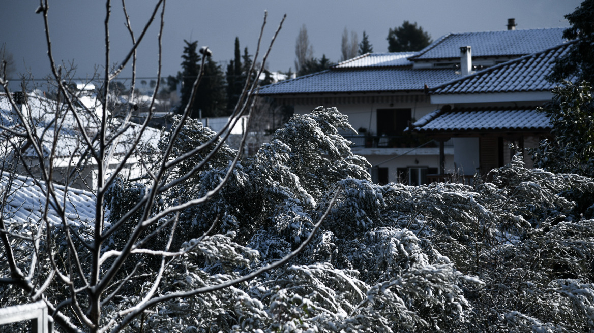 Καιρός: Παγετός και «τσουχτερό» κρύο στη χώρα - Πού άγγιξε τους -14 η θερμοκρασία