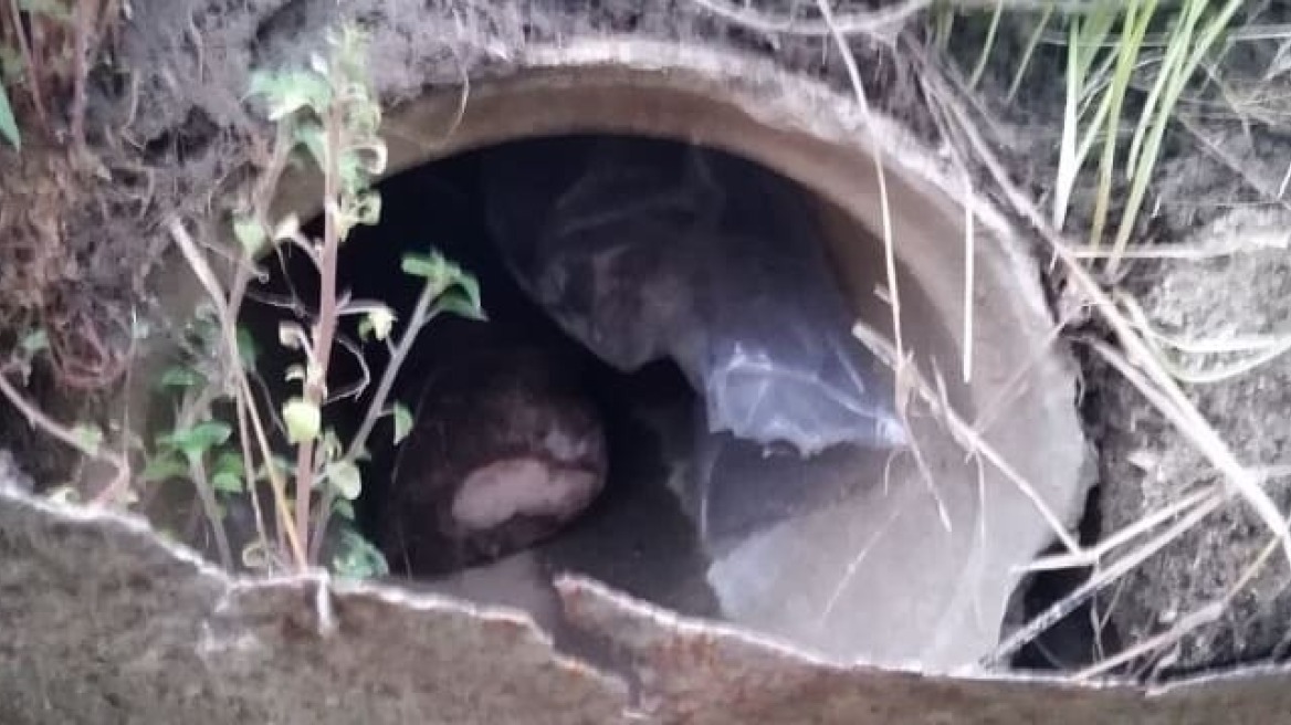 Άρτα: Σε παλιούς αγωγούς νερού έκρυβαν δυόμισι κιλά ηρωίνης