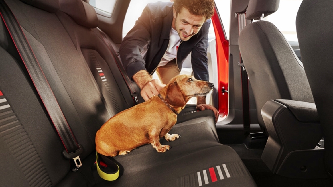 H Seat για τα κατοικίδια και τη μεταφορά τους