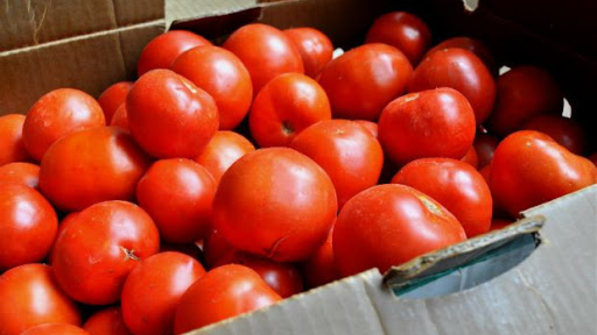 Χανιά: Απάτη αξίας... 16.000 ευρώ - Έστειλε 23,5 τόνους ντομάτες και δεν πληρώθηκε ποτέ!