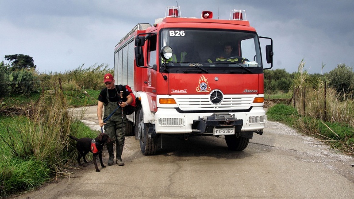 Πυρκαγιά στον Τύρναβο: Κάηκαν τουλάχιστον 320 πρόβατα