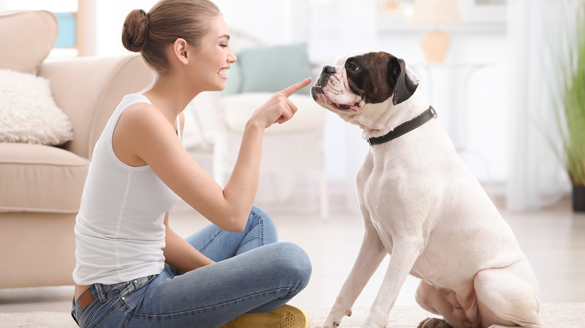 Με ποια συντροφιά κοιμόμαστε καλύτερα – Η απάντηση θα σας εκπλήξει