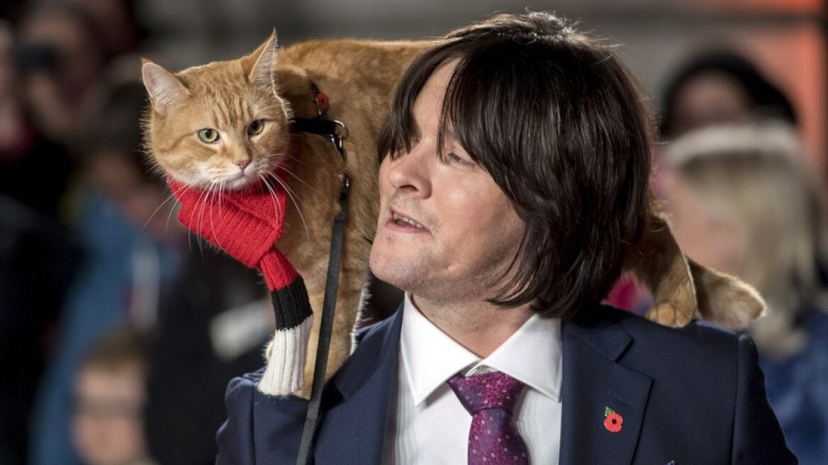 Πέθανε ο «γάτος που τον έλεγαν Μπομπ» και είχε «σώσει» τον τοξικομανή ιδιοκτήτη του