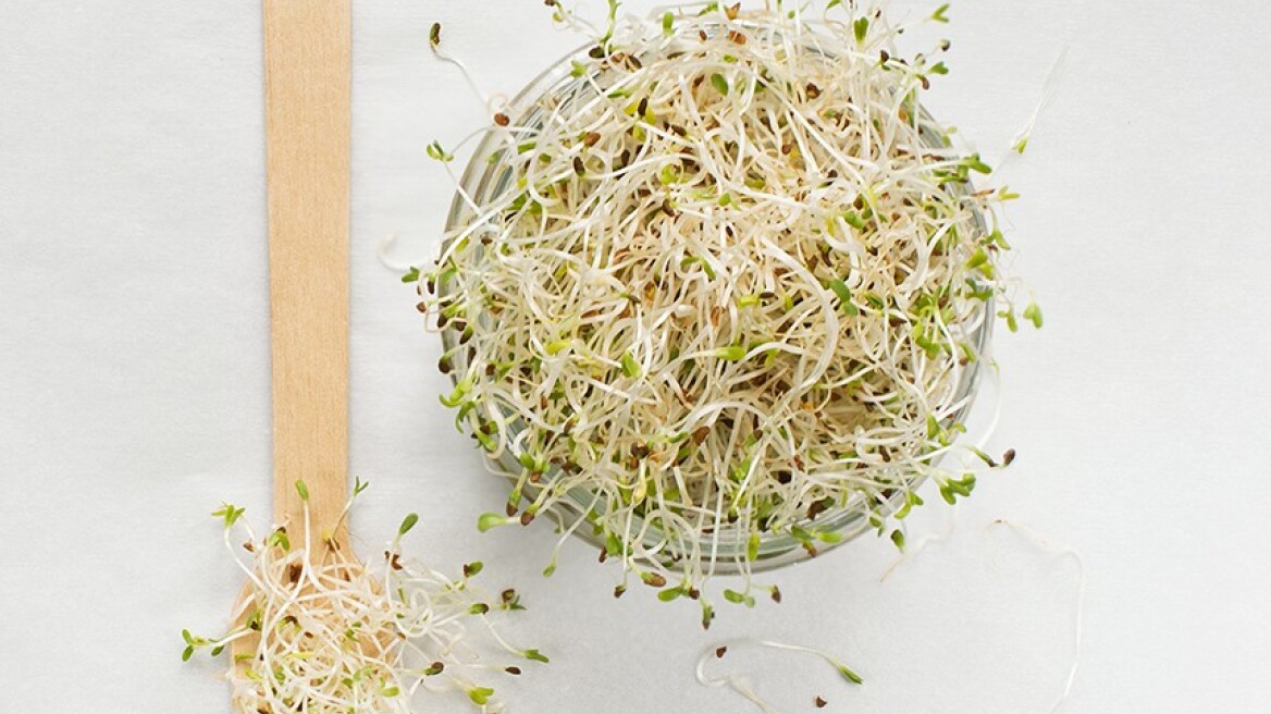 Τι είναι το αλφάλφα και γιατί είναι καλό να το προσθέσουμε στη διατροφή μας