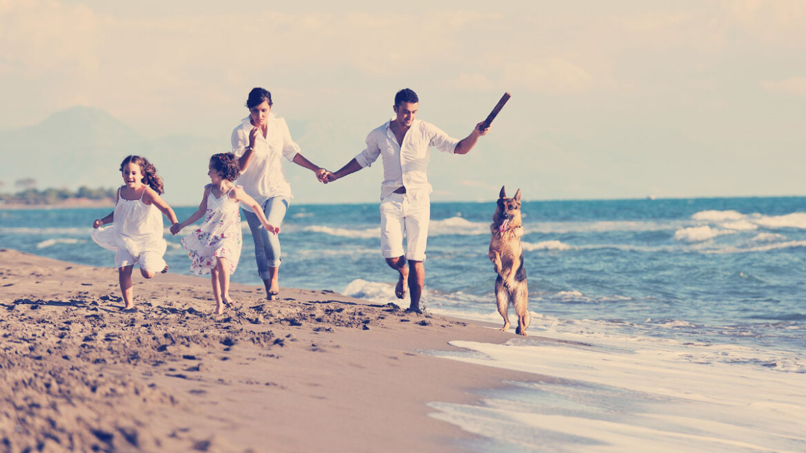 Διακοπές με το σκύλο – Επτά πράγματα που πρέπει να προσέχετε