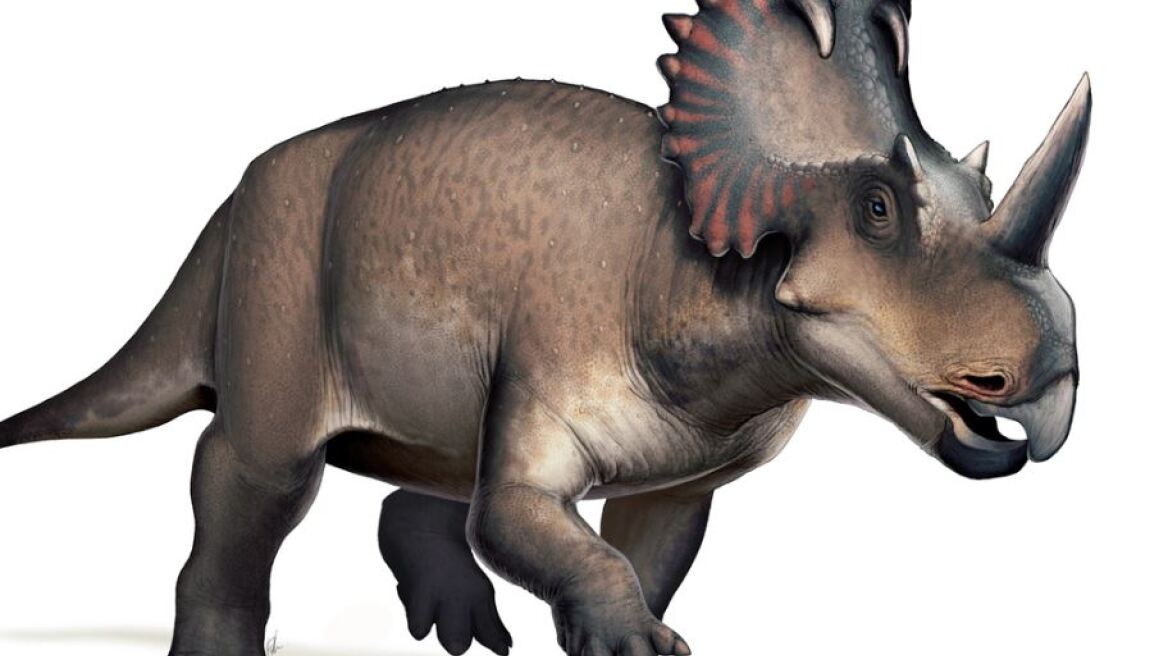 Βρέθηκε ο πρώτος καρκίνος σε δεινόσαυρο