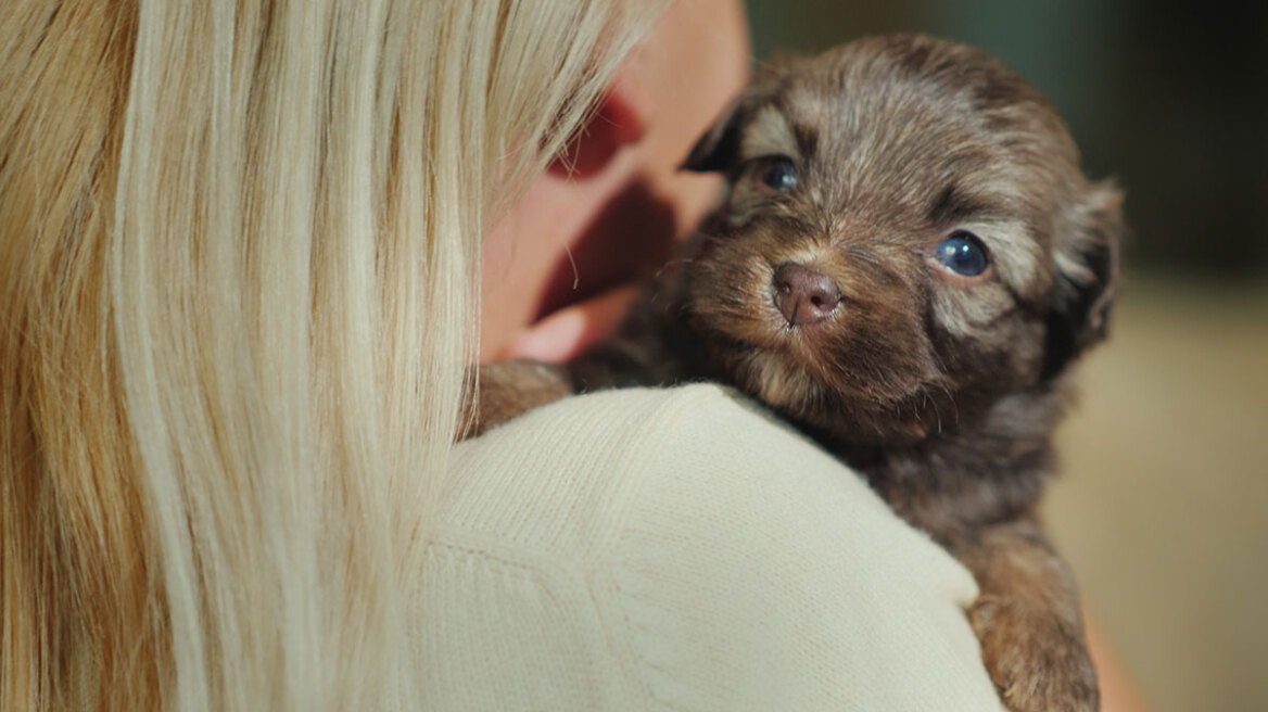 Φοβίες: Σε ποια ηλικία είναι πιο ευάλωτος ο σκύλος