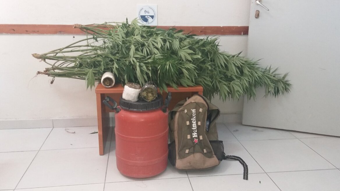 Θεσπρωτία: Με... βάρκα πήγαινε να περιποιηθεί τα χασισόδεντρα!