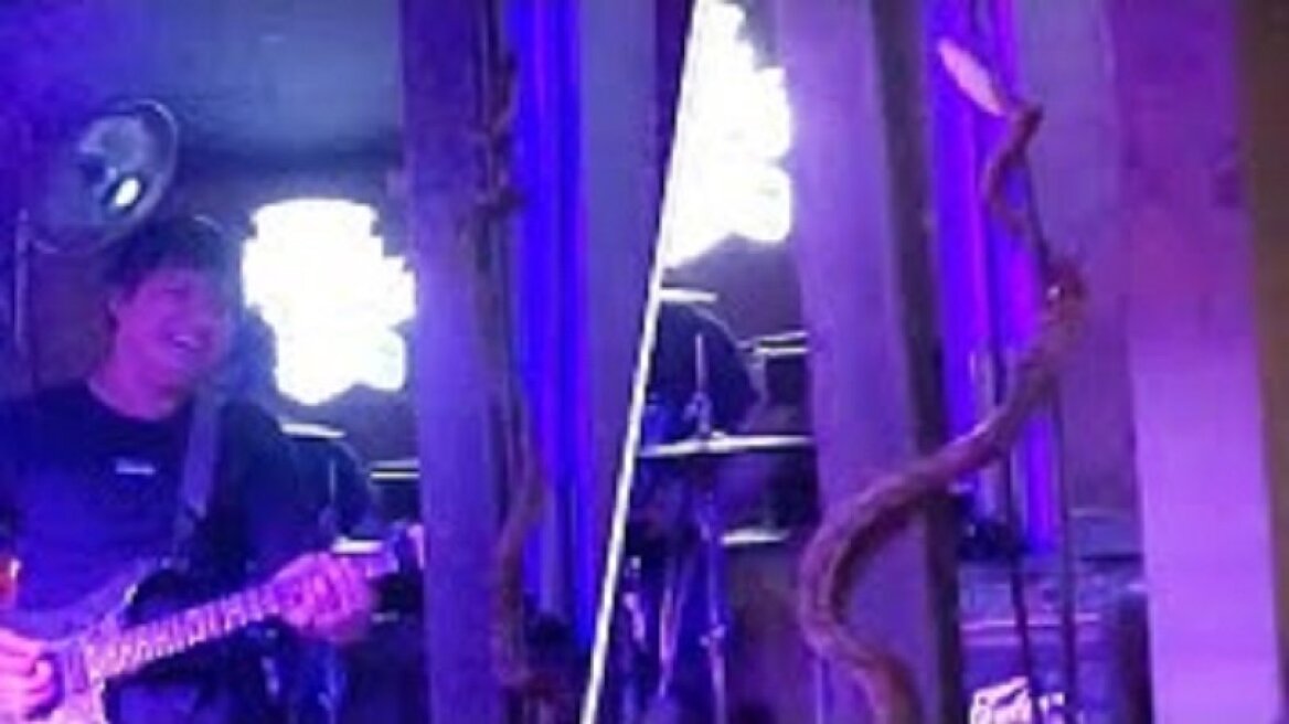 Πύθωνας δύο μέτρων ανέβηκε στη σκηνή κατά τη διάρκεια συναυλίας (vid)