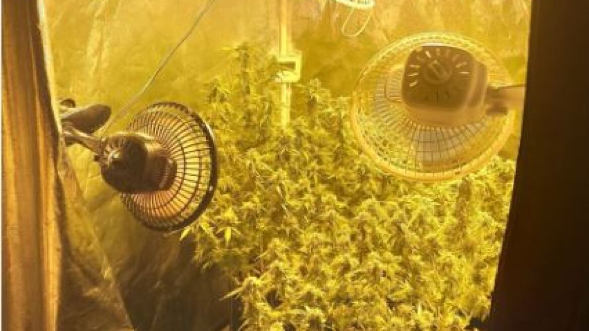 Εργαστήριο υδροπονικής κάνναβης σε σπίτι στην Φλώρινα