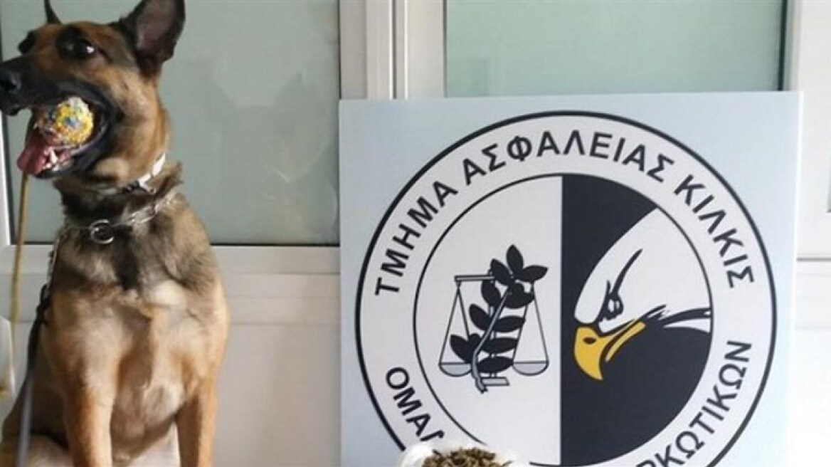 Η «Minnie» ξετρύπωσε πέντε κιλά κάνναβης στην Κατερίνη