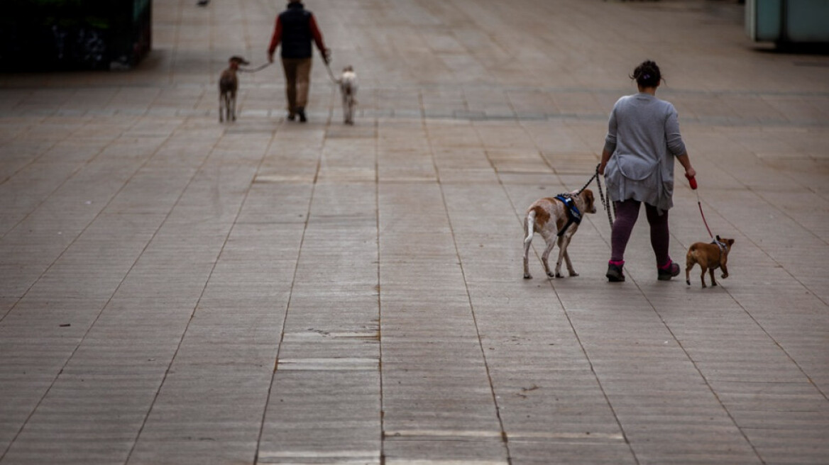 Έρευνα: Κατά 78% αυξάνεται η πιθανότητα να κολλήσουν κορωνοϊό όσοι βγάζουν τον σκύλο βόλτα