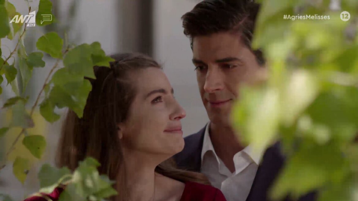 Άγριες Μέλισσες: Στο Twitter στήθηκε πάρτι για την επιστροφή της Ελένης στο Διαφάνι