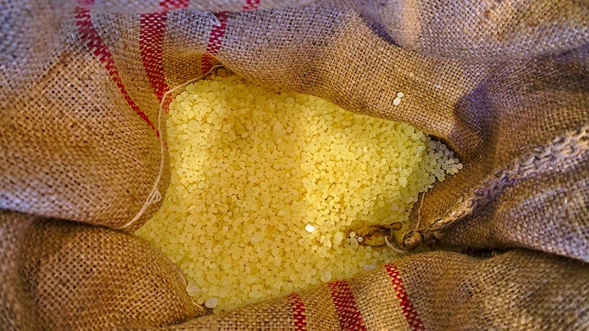 Το τρόφιμο – φάρμακο που θωρακίζει το πεπτικό και καταπολεμά τα παθογόνα μικρόβια